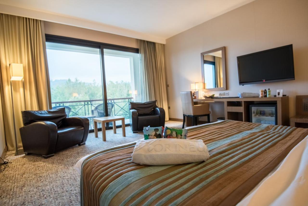 Superior Double or Twin Room with Mountain View