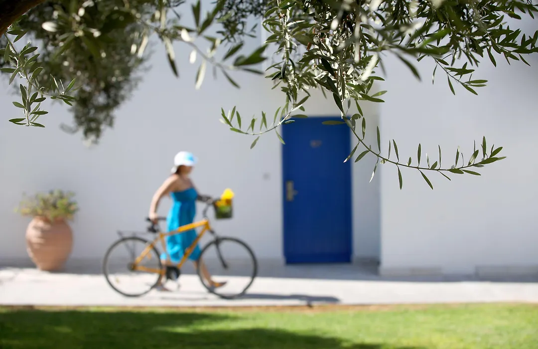 Aliathon Aegean-1