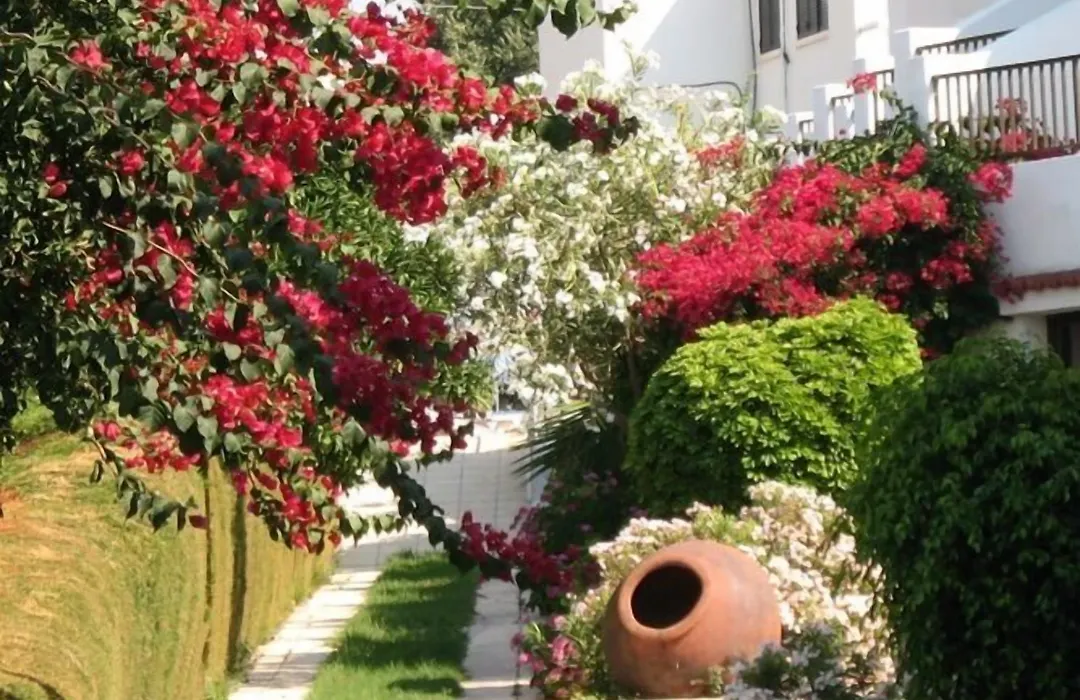 Bougainvillea Apartments-1