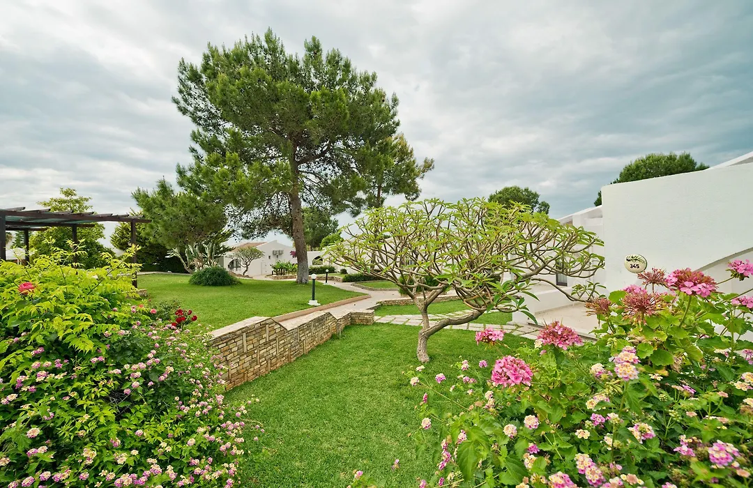 The Olive Tree Hotel-1