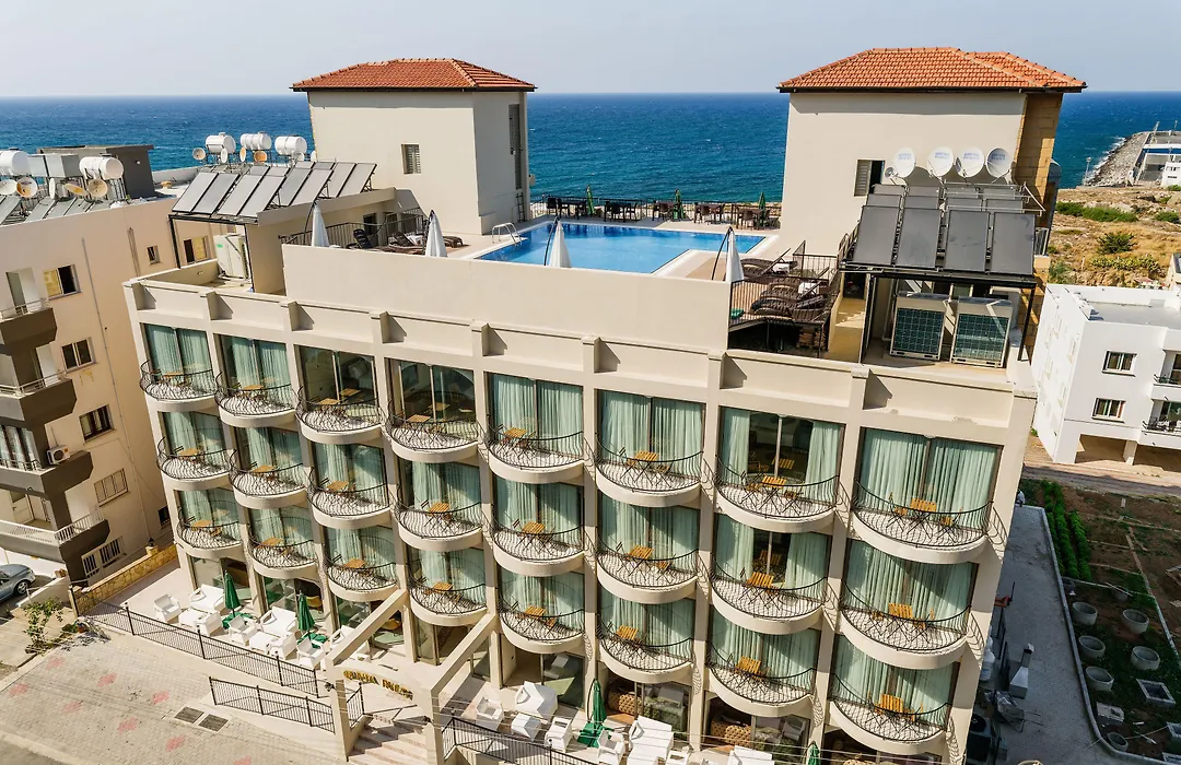Olivia Palm Hotel-1
