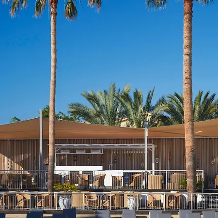 King Jason Paphos - Designed For Adults By Louis Hotels-3