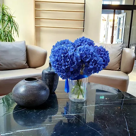 Hotel Indigo Larnaca By Ihg-Adults Only-2