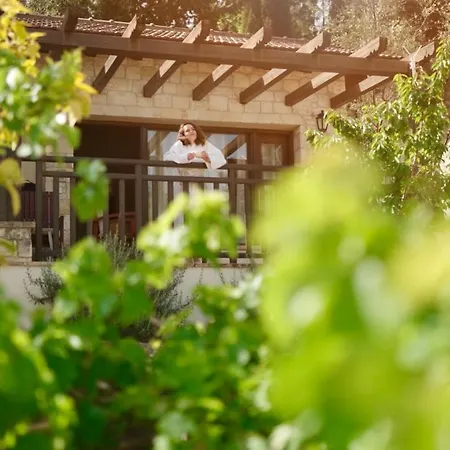 Secret Forest - Wellness Retreat & Healing Spa (Adults Only)-3