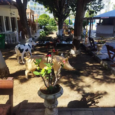Anastasia Holiday Apartments-2