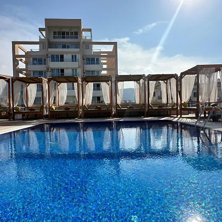 Olivia Palm Hotel-2