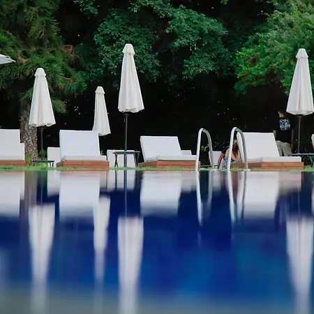 Odysseia Hotel Kapetanios-3