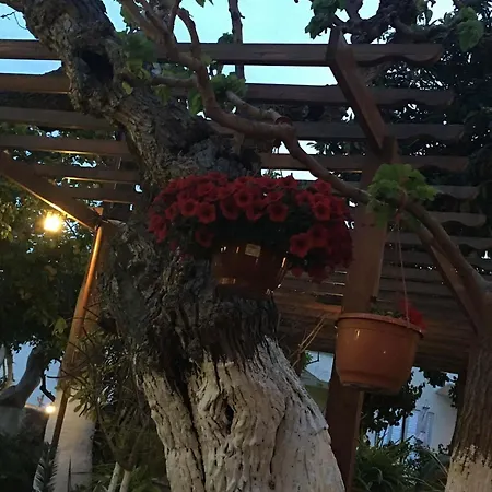 The Bunch Of Grapes Inn-3