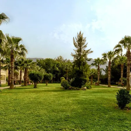 Mountain View-2