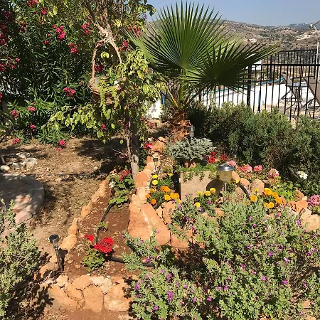Peyia Pearl-2