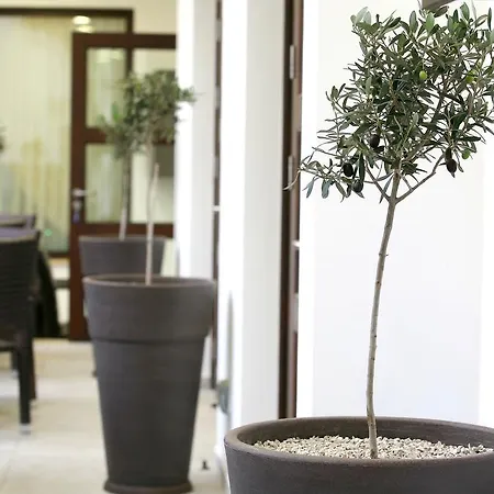Royiatiko Hotel-2