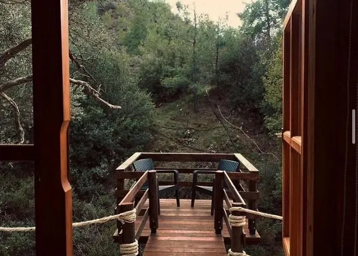 Bosco Paradiso Limasol, Kıbrıs