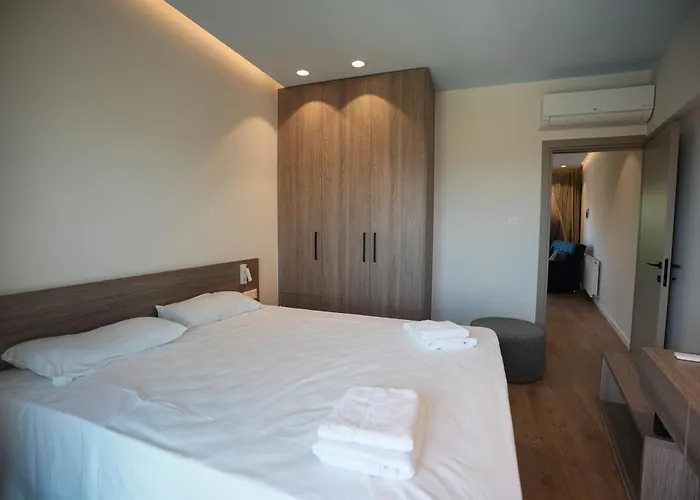 ana Hotel s